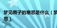 夢見麂子的意思是什么(夢見麂子的是什么意思)