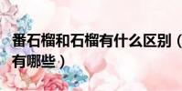 番石榴和石榴有什么區別(番石榴和石榴區別有哪些)