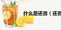 什么是還音(還音簡述)