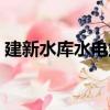 建新水庫水電站（關于建新水庫水電站介紹）