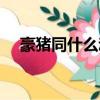 豪豬同什么動物最親近（豪豬簡單介紹）