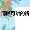 清晰可辨的辨是什么意思（清晰可辨的含義）