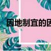 因地制宜的因地意思（因地詞語相關釋義）