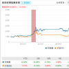 大摩優質精選發行