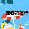 寵物狗怎樣訓大小便（這個方法最簡單）