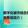數字化城市綜合信息服務系統（關于數字化城市綜合信息服務系統簡介）