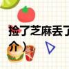撿了芝麻丟了西瓜（關于撿了芝麻丟了西瓜簡介）
