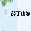 薛丁山怎么死的（分別有什么說法）