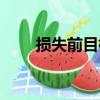 損失前目標（關于損失前目標簡介）