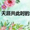 天涯共此時的意思（天涯共此時的意思簡述）