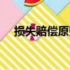 損失賠償原則（關于損失賠償原則簡介）