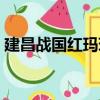 建昌戰國紅瑪瑙（關于建昌戰國紅瑪瑙介紹）