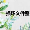 損壞文件鑒定（關于損壞文件鑒定簡介）