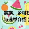 宗族、鄉村權力與選舉（關于宗族、鄉村權力與選舉介紹）