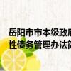 岳陽市市本級政府性債務管理辦法（關于岳陽市市本級政府性債務管理辦法簡介）