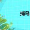 捕鳥者（關于捕鳥者簡介）