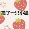 撿了一只小狐貍（關于撿了一只小狐貍簡介）