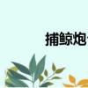 捕鯨炮臺（關于捕鯨炮臺簡介）