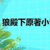 狼殿下原著小說叫什么（電視劇狼殿下介紹）