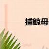 捕鯨母船（關于捕鯨母船簡介）