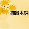 捕鼠木鐘馗（關于捕鼠木鐘馗簡介）