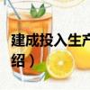 建成投入生產項目（關于建成投入生產項目介紹）
