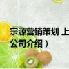 宗源營銷策劃 上海有限公司（關于宗源營銷策劃 上海有限公司介紹）
