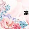 宗濤（關于宗濤介紹）