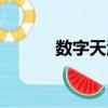 數字天津（關于數字天津簡介）