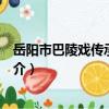 岳陽市巴陵戲傳承研究院（關于岳陽市巴陵戲傳承研究院簡介）