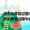 損傷和修復過程中皮層神經元鈣穩態調控機制研究（關于損傷和修復過程中皮層神經元鈣穩態調控機制研究簡介）