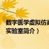 數字醫學虛擬仿真教學實驗室（關于數字醫學虛擬仿真教學實驗室簡介）