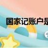 國家記賬戶是什么意思（國家記賬戶意思）