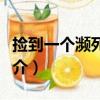 撿到一個瀕死殺手（關于撿到一個瀕死殺手簡介）