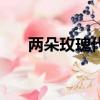 兩朵玫瑰代表什么（兩朵玫瑰的含義）