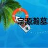 宗源瀚墓志（關于宗源瀚墓志介紹）