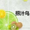 撈汁鳥貝（關于撈汁鳥貝簡介）