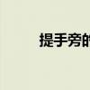 提手旁的字有哪些（請列舉一些）