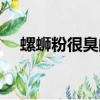 螺螄粉很臭的原因是什么（螺螄粉介紹）