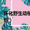懷化野生動植物園（關于懷化野生動植物園介紹）