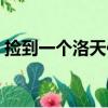 撿到一個洛天依（關于撿到一個洛天依簡介）