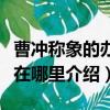 曹沖稱象的辦法好在哪里（曹沖稱象的辦法好在哪里介紹）