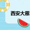 西安大雁塔介紹（西安大雁塔簡介）