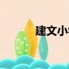 建文小學（關于建文小學介紹）