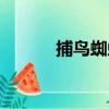 捕鳥蜘蛛（關于捕鳥蜘蛛簡介）