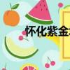 懷化紫金城（關于懷化紫金城介紹）