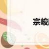 宗峻麒（關于宗峻麒介紹）