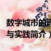 數字城市的理論與實踐（關于數字城市的理論與實踐簡介）