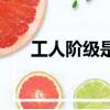 工人階級是什么意思（工人階級解釋）
