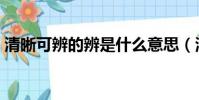 清晰可辨的辨是什么意思(清晰可辨的含義)